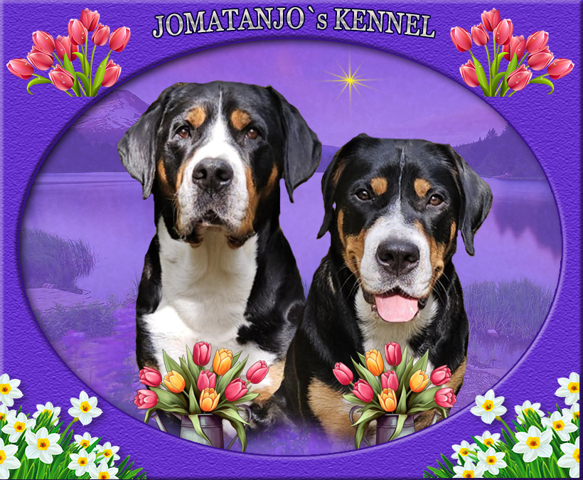 Jomatanjos Kennel