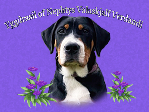 Yggdrasil of Nephtys Valaskjalf Verdandi "Vera"