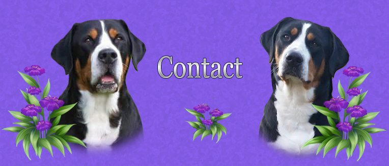 Contact