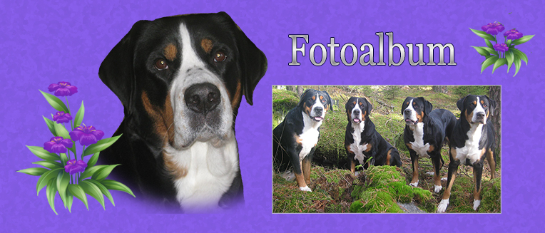 Fotoalbum