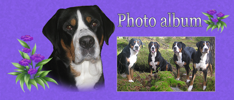 Photo album