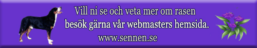 wenmasterns hemsida