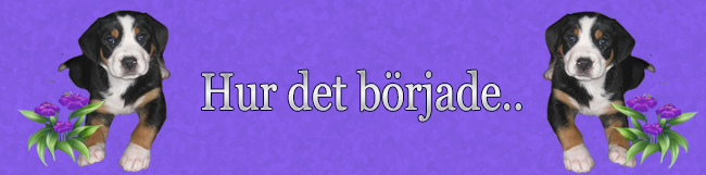Hur det brjade