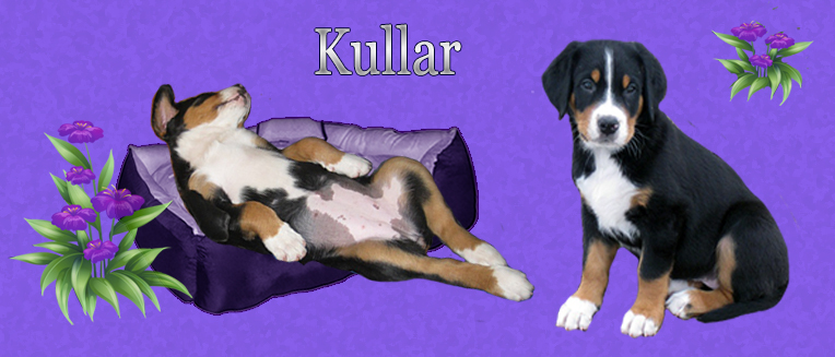 Kullar