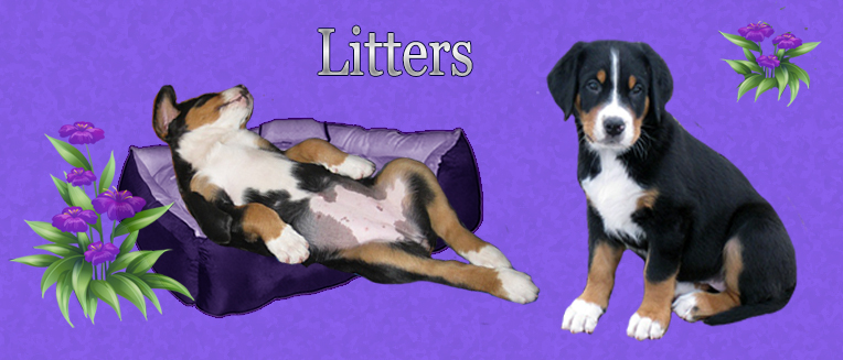 Litters