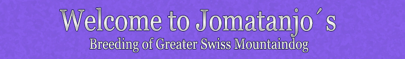 Welcome to Jomatanjo`s