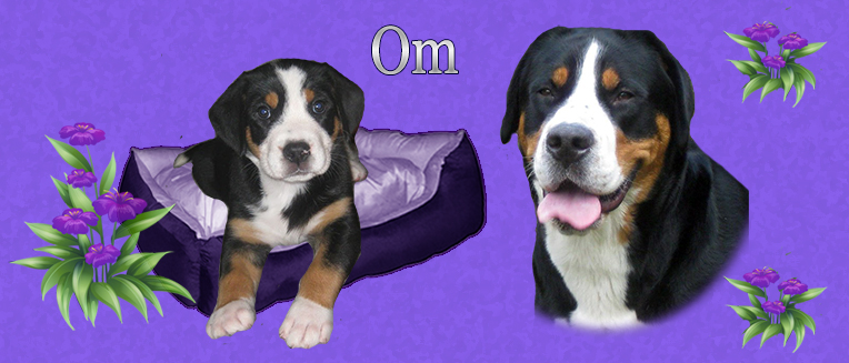 Om