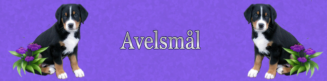 Avelsml